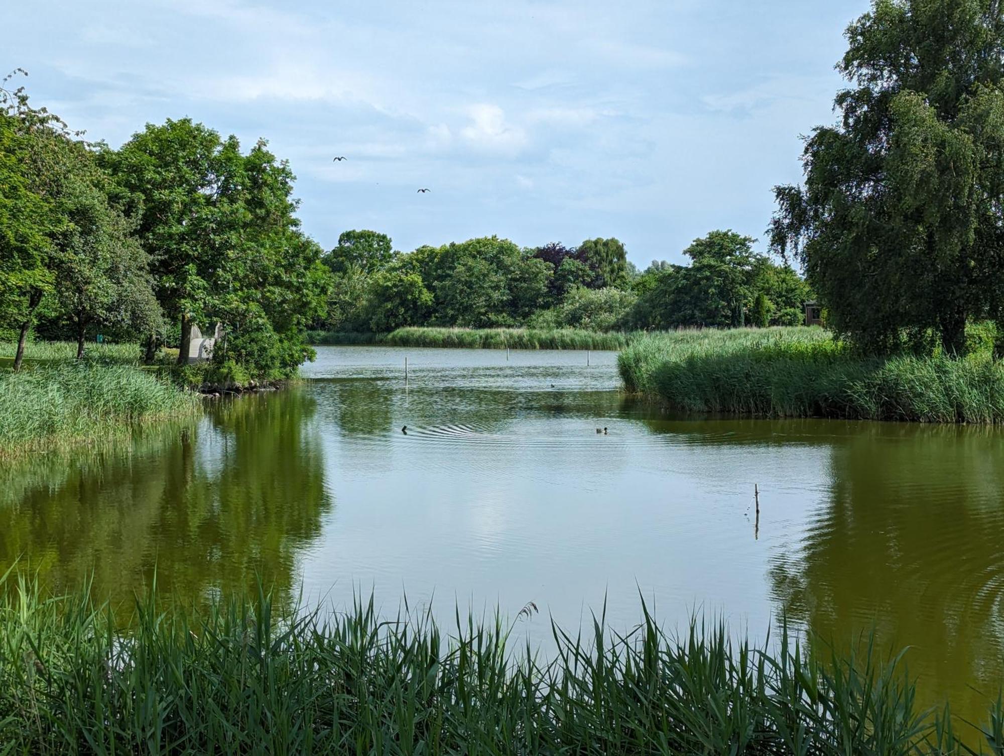 Fewo Oldeoog Og - Horumersiel Exterior foto